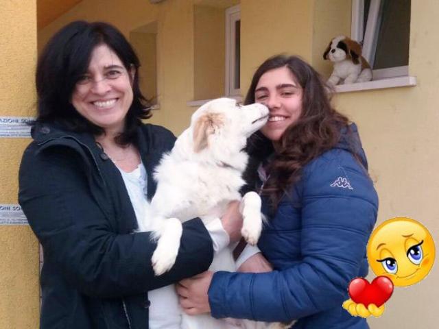 Buona vita Cinar